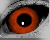 Halloween Eyes 04