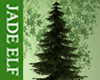 [JE] Huge Spruce Tree