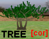 [cor] Tree 01