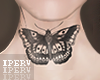 lPl Mesh Butterfly Rl