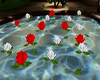 Floating Roses 1 !!!