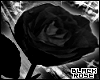 BlackRose