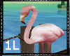 !1L Serenity Flamingo
