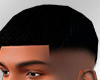 龍 Low Fade