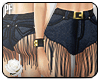{FringeHWS} in Navy.