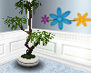 ~ Lucky Plant Tree ~