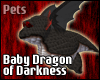 Baby Dragon of Darkness