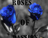 (P)blue roses radio