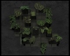 Wall Plants