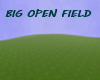 Big Open Field