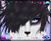 Husky | Hair