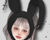 𝐒.Bunny