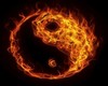 ying & yang fire Sticker