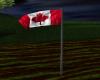 (SR) CANADA FLAG POLE