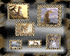 Cheetah Frames