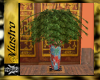 (V)Zen Vase & Plant1
