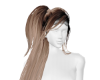 KTN Side Ponytail Ombre