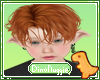 Sigfrie Ginger