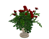 Roses in a marble vase1