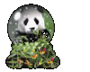Panda Globe