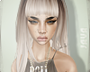! Xia phantom