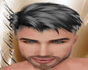 Gray Platinum Hair
