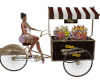 Flowers Bike
