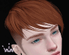 T. SawyerGinger