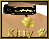 (k) kitten and gold paw