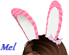 (ZN) Bunny Bow Animated