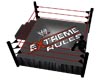 {EL} WWE PPV Ring