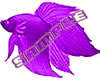 PurpleFish-FL