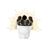 Skulls Halo + Roses