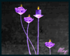 Rose Candles Purple