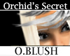 [O] Orchid's Portrait
