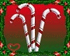 candycane with 3 poses