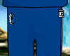 pants DAL"