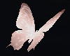light Pink Butterflies