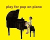 play  for pup on piano