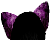 smokey purple cat ears