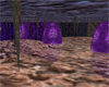 sala vastion violeta