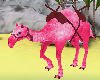 Pink Camel