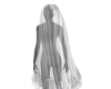 ~K Bridal Veil White 1