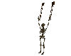 [SaT]Hanging skeleton
