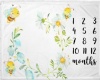Infant Milestone Blanket