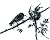 Sketches 4 - RPort