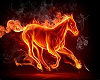 fire horse