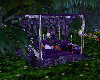 D Purple Canopy