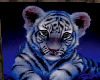[JR] Blue Tiger 2