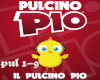 il_pulcino_pio